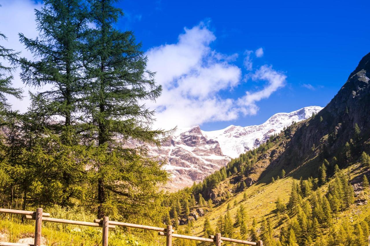 Alta Luce Mountain *