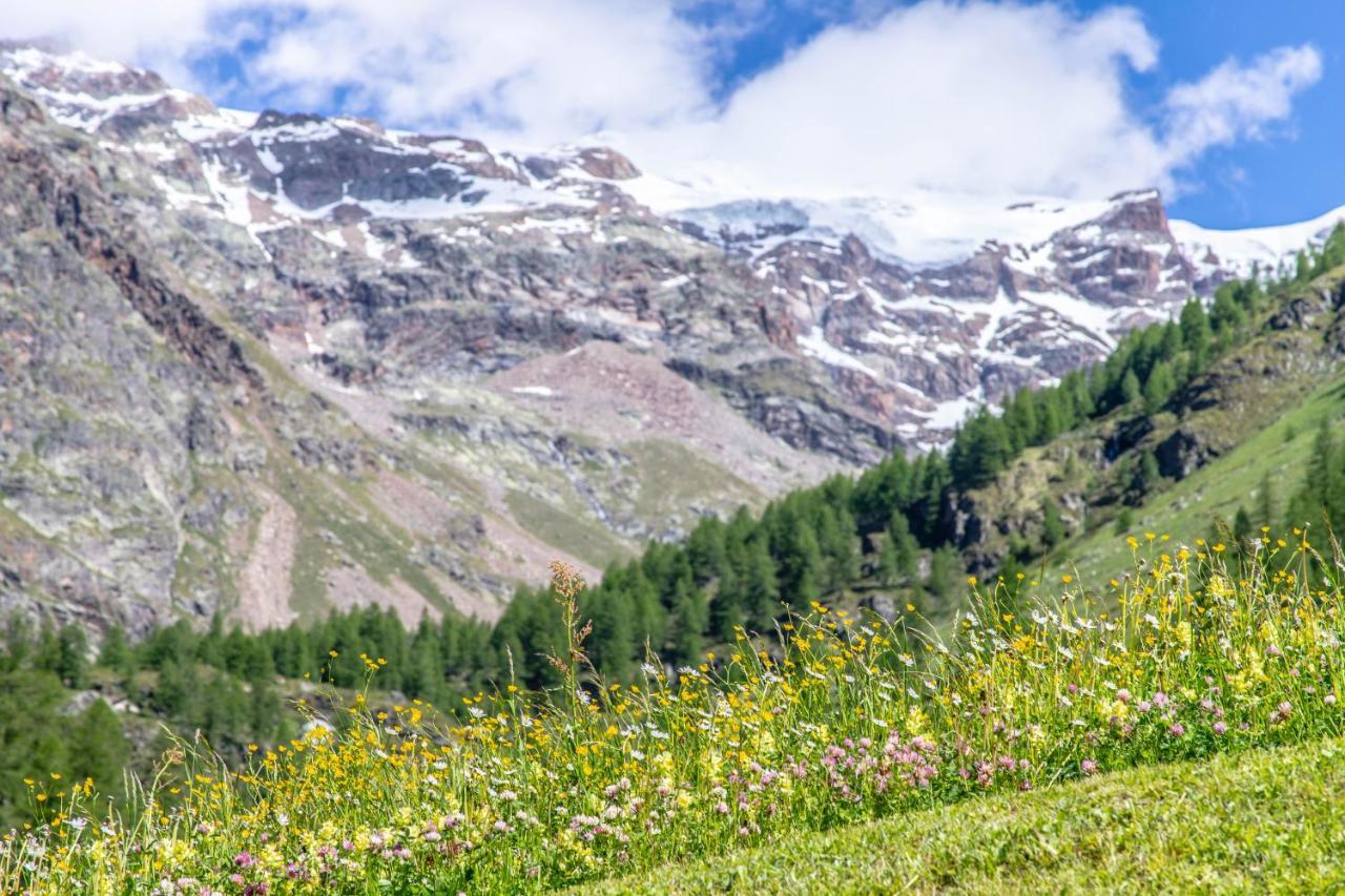 Aparthotel Alta Luce Mountain